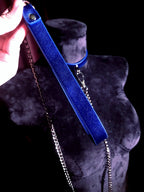 Leather Choker and Leash