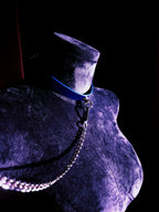 Leather Choker and Leash