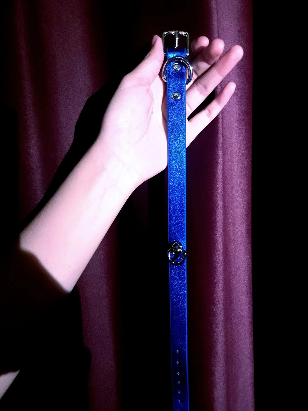 Leather Choker and Leash