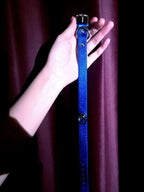 Leather Choker and Leash