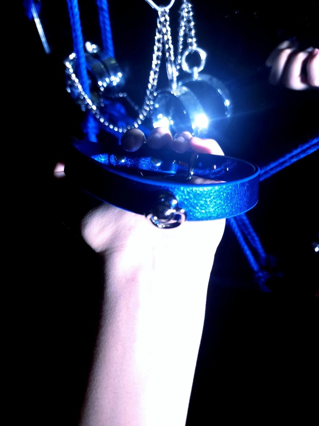 Leather Choker and Leash