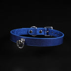Leather Choker and Leash