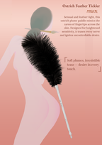 Brush, Paddle and Feather Tickler