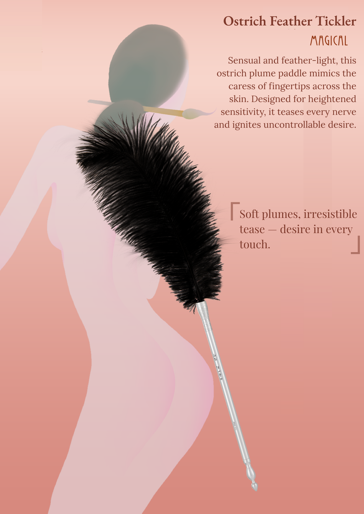 Brush, Paddle and Feather Tickler