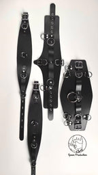 Waist and Hip Restraint Harness Set