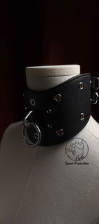 Curved Restraint Collar (Heavy Restriction)
