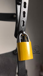 Leather Women's Chastity Belt