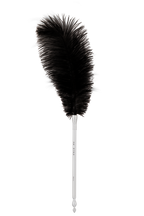 Brush, Paddle and Feather Tickler